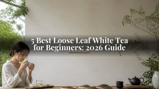 5 Best Loose Leaf White Tea for Beginners: 2026 Guide