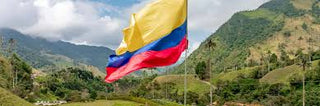 Righteous Roast LLC Colombia Single Origin Coffee (Medellín) — Medium Roast
