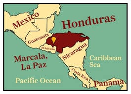 Righteous Roast LLC Honduras Single Origin Coffee (Marcala, La Paz) — Medium-Dark Roast