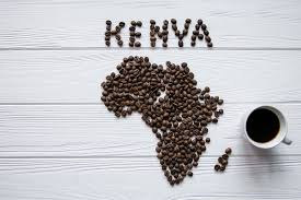 Righteous Roast LLC Kenya Single Origin Coffee (Nyeri – Othaya)