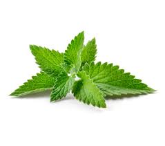 Righteous Roast LLC Mint Flavored Coffee (All Natural Flavoring)